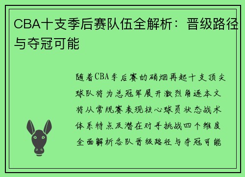 CBA十支季后赛队伍全解析：晋级路径与夺冠可能