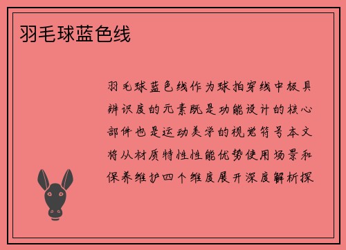 羽毛球蓝色线